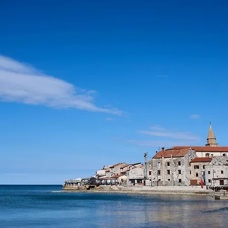 Royal Blue * Umag